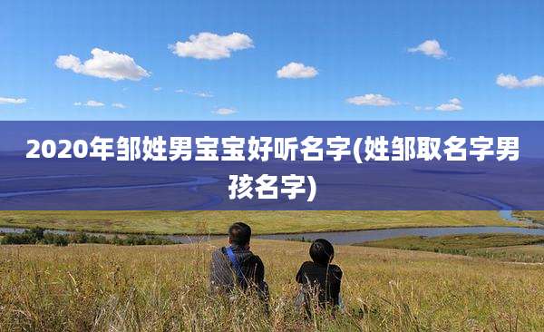 2020年邹姓男宝宝好听名字(姓邹取名字男孩名字)