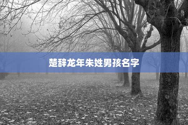 楚辞龙年朱姓男孩名字