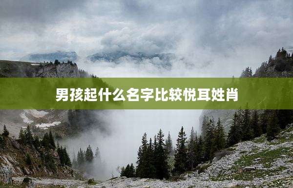 男孩起什么名字比较悦耳姓肖
