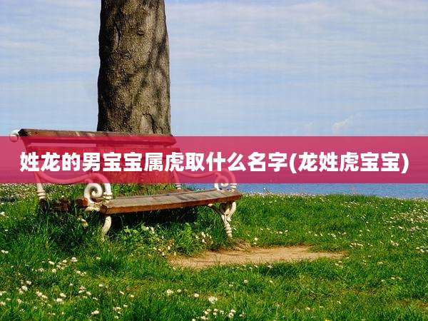 姓龙的男宝宝属虎取什么名字(龙姓虎宝宝)