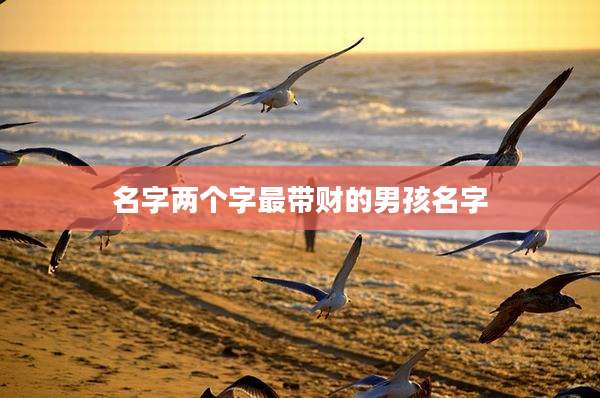 名字两个字最带财的男孩名字