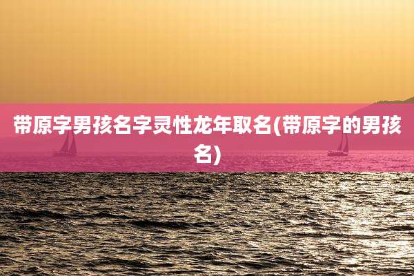 带原字男孩名字灵性龙年取名(带原字的男孩名)