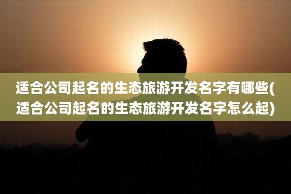适合公司起名的生态旅游开发名字有哪些(适合公司起名的生态旅游开发名字怎么起)