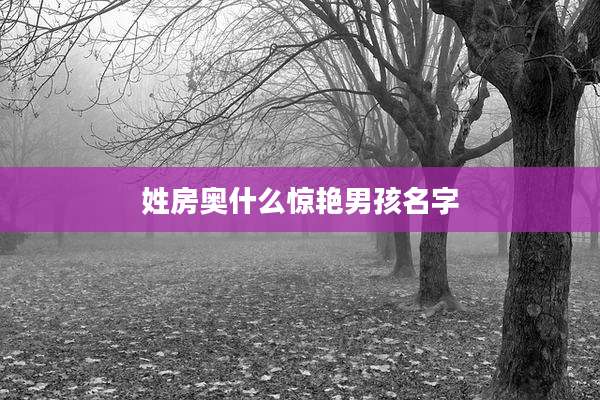 姓房奥什么惊艳男孩名字