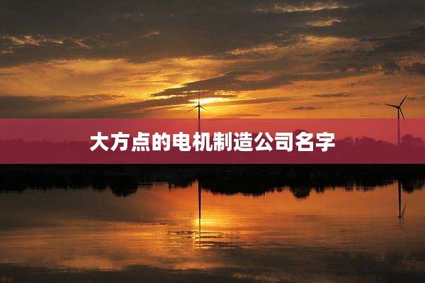 大方点的电机制造公司名字