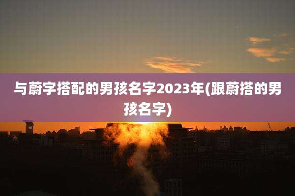 与蔚字搭配的男孩名字2023年(跟蔚搭的男孩名字)