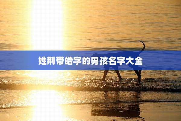 姓荆带皓字的男孩名字大全