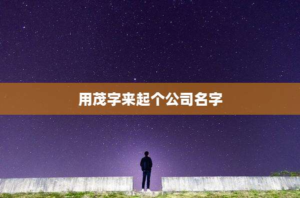 用茂字来起个公司名字
