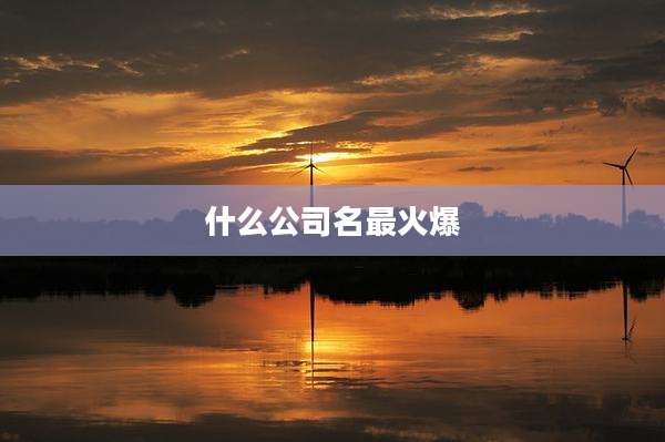 什么公司名最火爆