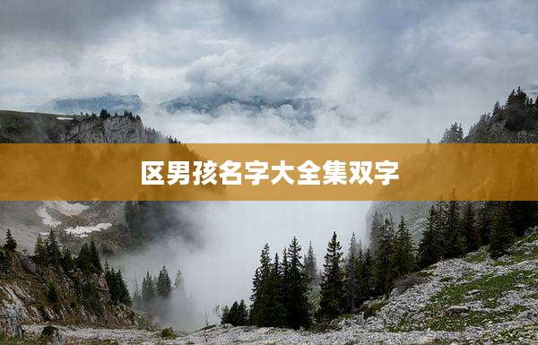 区男孩名字大全集双字