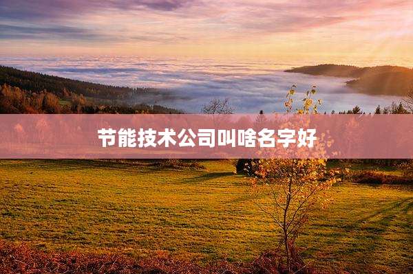 节能技术公司叫啥名字好