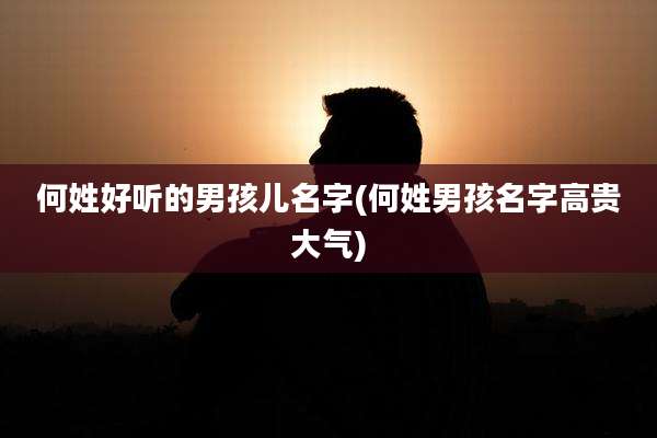 何姓好听的男孩儿名字(何姓男孩名字高贵大气)