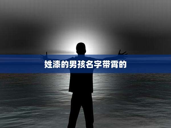 姓漆的男孩名字带霄的