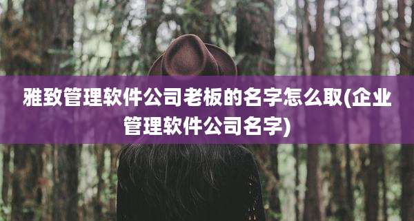 雅致管理软件公司老板的名字怎么取(企业管理软件公司名字)