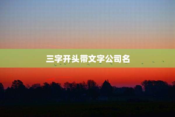 三字开头带文字公司名
