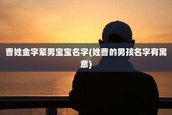 曹姓金字辈男宝宝名字(姓曹的男孩名字有寓意)