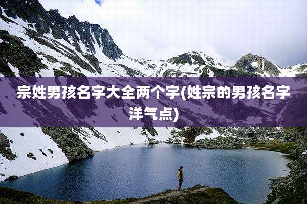 宗姓男孩名字大全两个字(姓宗的男孩名字洋气点)
