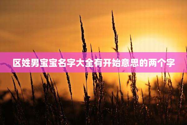 区姓男宝宝名字大全有开始意思的两个字