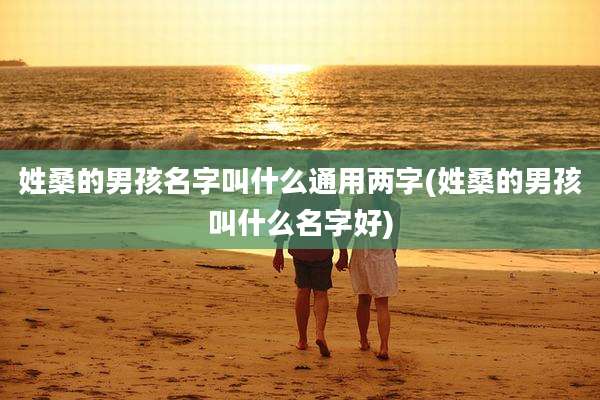 姓桑的男孩名字叫什么通用两字(姓桑的男孩叫什么名字好)