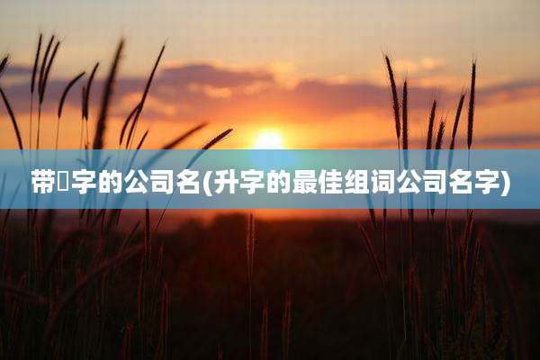 带昇字的公司名(升字的最佳组词公司名字)