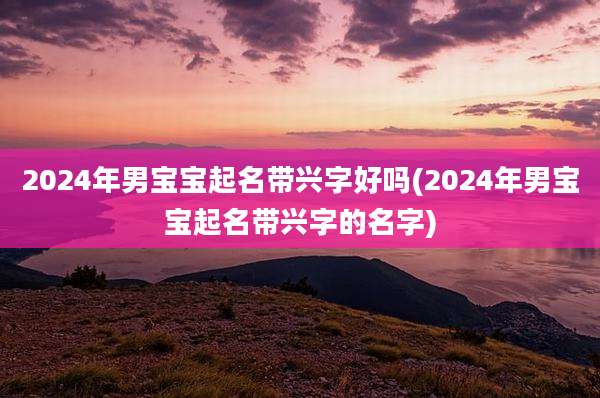 2024年男宝宝起名带兴字好吗(2024年男宝宝起名带兴字的名字)