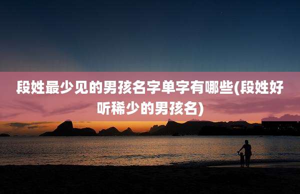 段姓最少见的男孩名字单字有哪些(段姓好听稀少的男孩名)