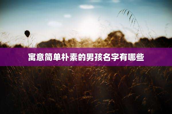 寓意简单朴素的男孩名字有哪些