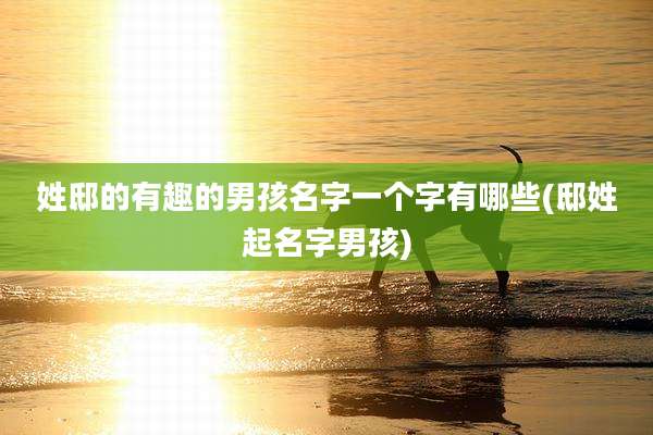 姓邸的有趣的男孩名字一个字有哪些(邸姓起名字男孩)