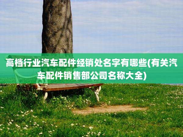 高档行业汽车配件经销处名字有哪些(有关汽车配件销售部公司名称大全)