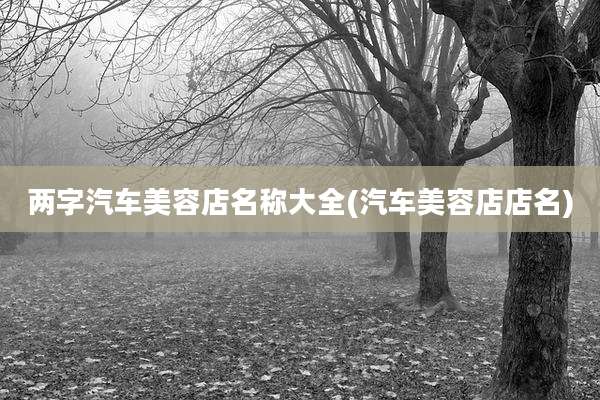 两字汽车美容店名称大全(汽车美容店店名)