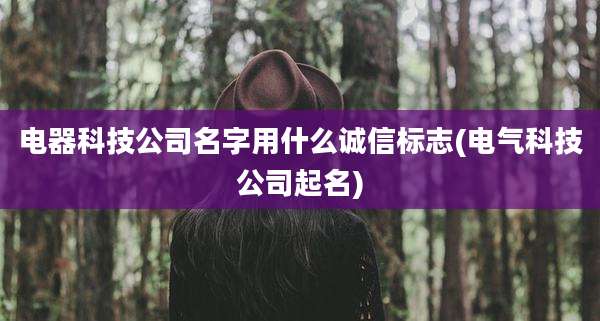 电器科技公司名字用什么诚信标志(电气科技公司起名)