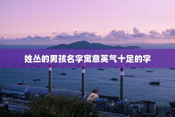 姓丛的男孩名字寓意英气十足的字