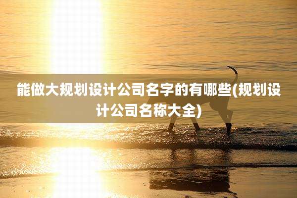 能做大规划设计公司名字的有哪些(规划设计公司名称大全)