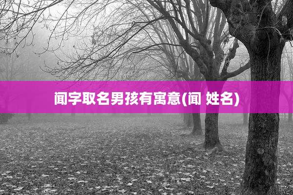 闻字取名男孩有寓意(闻 姓名)