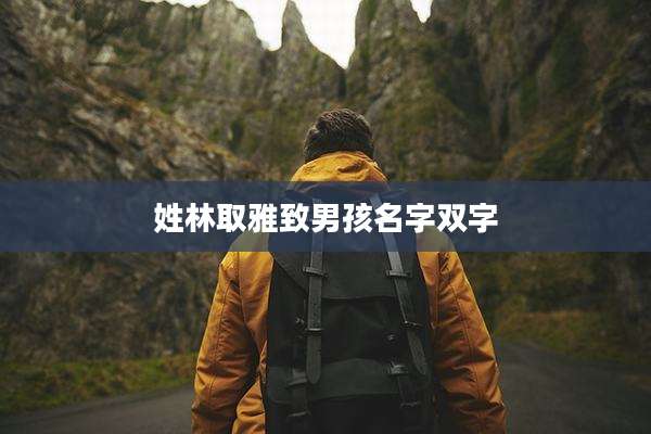 姓林取雅致男孩名字双字