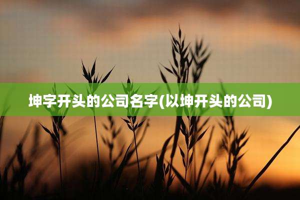 坤字开头的公司名字(以坤开头的公司)