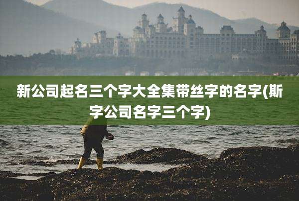 新公司起名三个字大全集带丝字的名字(斯字公司名字三个字)