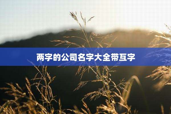 两字的公司名字大全带互字