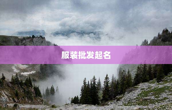 服装批发起名