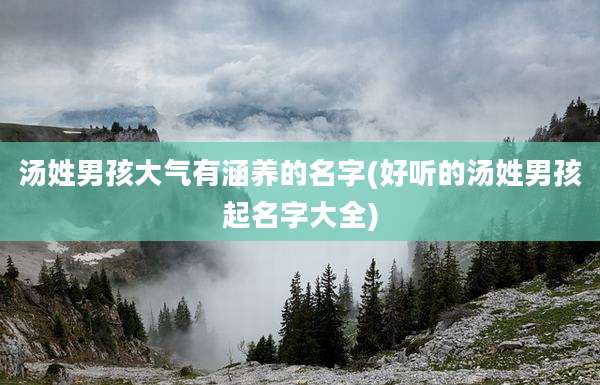 汤姓男孩大气有涵养的名字(好听的汤姓男孩起名字大全)