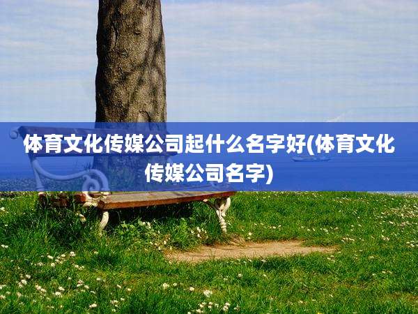 体育文化传媒公司起什么名字好(体育文化传媒公司名字)