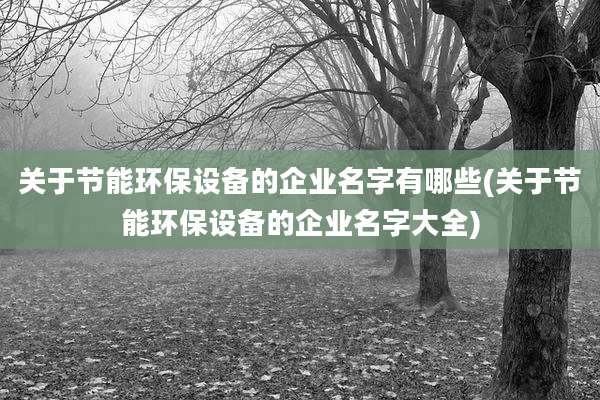 关于节能环保设备的企业名字有哪些(关于节能环保设备的企业名字大全)