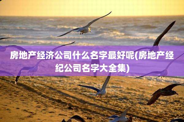 房地产经济公司什么名字最好呢(房地产经纪公司名字大全集)