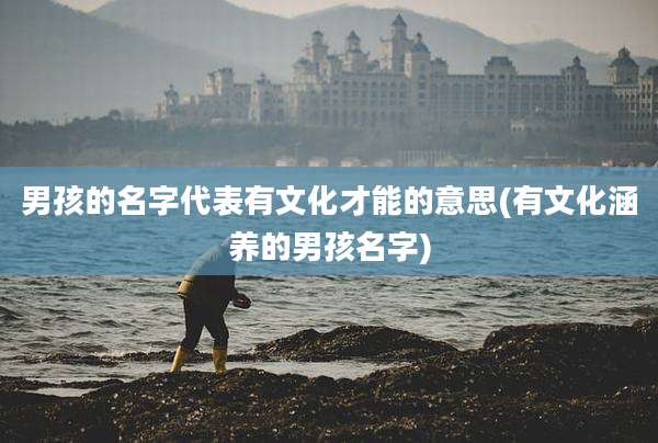 男孩的名字代表有文化才能的意思(有文化涵养的男孩名字)