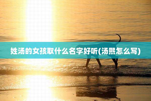 姓汤的女孩取什么名字好听(汤熙怎么写)