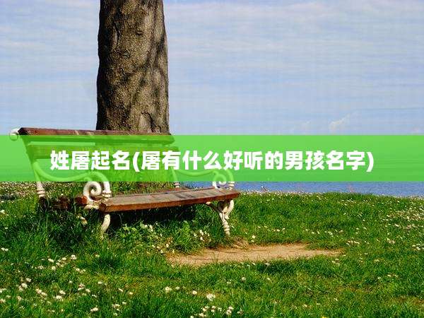 姓屠起名(屠有什么好听的男孩名字)