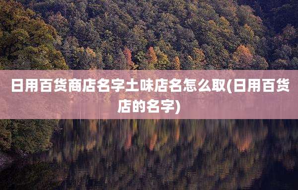 日用百货商店名字土味店名怎么取(日用百货店的名字)
