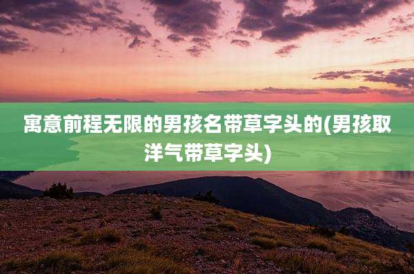 寓意前程无限的男孩名带草字头的(男孩取洋气带草字头)