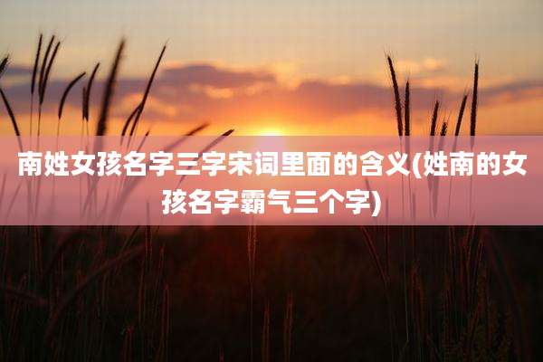 南姓女孩名字三字宋词里面的含义(姓南的女孩名字霸气三个字)