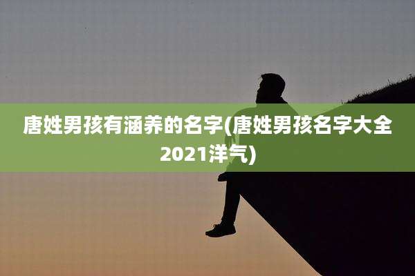 唐姓男孩有涵养的名字(唐姓男孩名字大全2021洋气)
